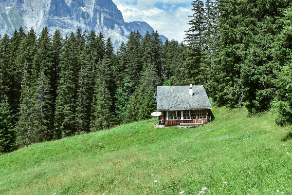 Většina Čechů se pojišťuje přesně naopak, než by měla